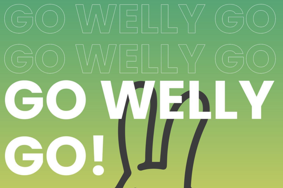 Welly Go – Video de presentación